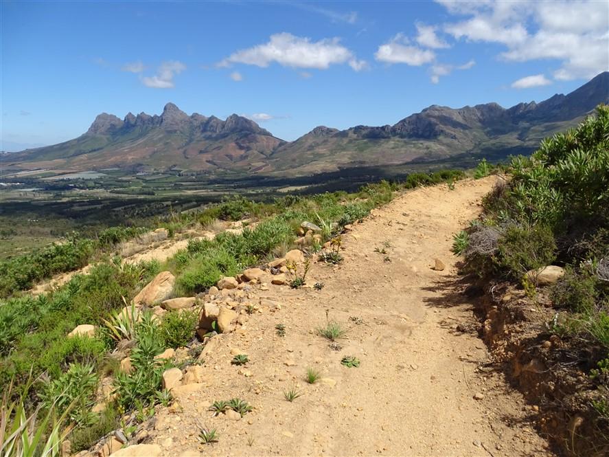 Dirt track through fynbos climbing toward the Helderberg peaks